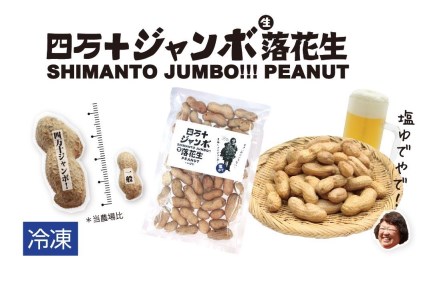 Fsr-01 塩ゆで四万十ジャンボ落花生400gこだわりの無農薬栽培!大きいだけじゃない!美味しさもジャンボ!