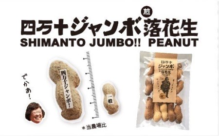 Fsr-09 激レア!四万十ジャンボ煎り落花生 煎りたてオーダー焙煎直送