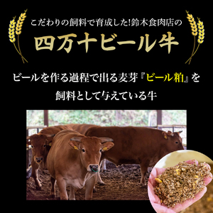 【数量限定】国産の牛肉と豚肉をミンチした合挽肉 3kg（500g×6パック）Asz-A45 国産 合いびき肉 冷凍 ハンバーグ 四万十ポーク 