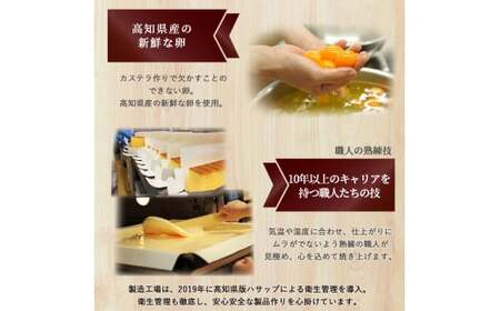 四万十の米粉カステラ【龍馬の太鼓判】プレーン＆ゆず半斤2本セット カステラ グルテンフリー スイーツ ／Bmu-A39