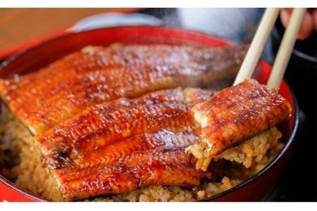 鰻大好き定期便 四万十うなぎ蒲焼き 大 160g X 3本 6カ月セット Sesu 03 高知県四万十町 ふるさと納税サイト ふるなび