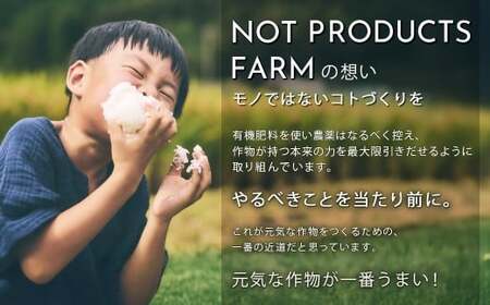 四万十育ち！冷めても香る幻の米『香り米』5kg／Fnp-01 香り米