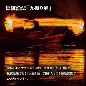 四万十川上流の天然鮎　冷凍　火振り漁鮎（4～14尾）【着日指定不可】／Esj-12k