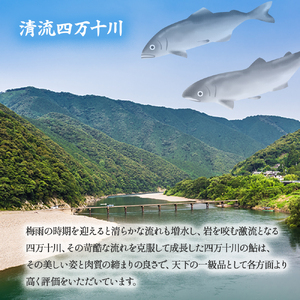 四万十川上流の天然鮎　冷凍　火振り漁鮎（4～14尾）【着日指定不可】／Esj-12k