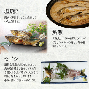 四万十川上流の天然鮎　冷凍　火振り漁鮎（4～14尾）【着日指定不可】／Esj-12k