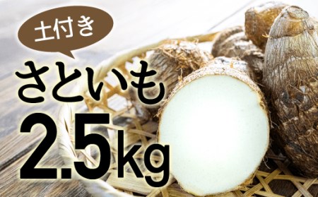 【予約受付】四万十町産「土付きさといも」2.5㎏ Fiz-03
