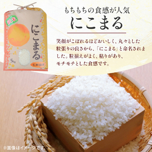 【令和7年産米】仁井田米「にこまる」（5kg）Bti-Y09