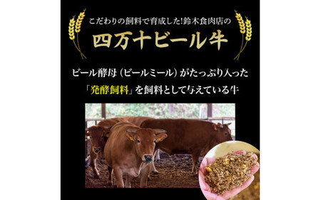 四万十麦酒牛 600g こま切れ / 厚切り焼肉用(各300gセット) 小間切れ 詰め合わせ ビール牛 赤身 冷凍 /Asz-37