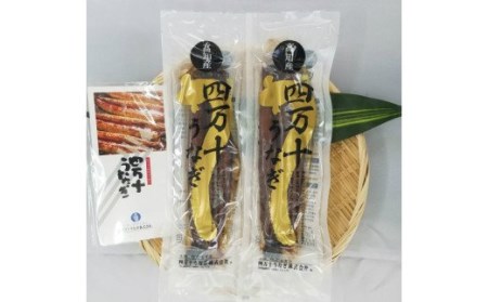 四万十うなぎ蒲焼き【200g x 2本】／Esu-39 | 高知県四万十町