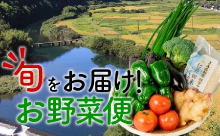 Qjs-14 こんなの探してた!【少量多品種】四万十育ちの地採れ野菜セット