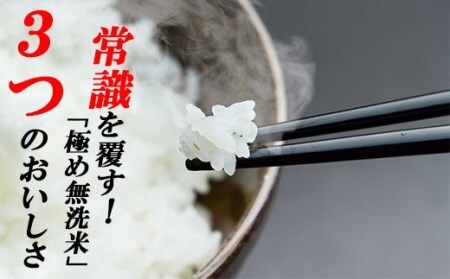 【3ヵ月定期便】こだわりの無洗米でおいしく簡単！「仁井田米にこまる」５㎏／Sbos-01