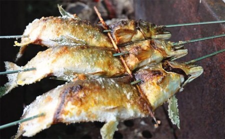レンジでチンする天然鮎の炭火焼き 7匹(四万十川中流産)Qdr-47