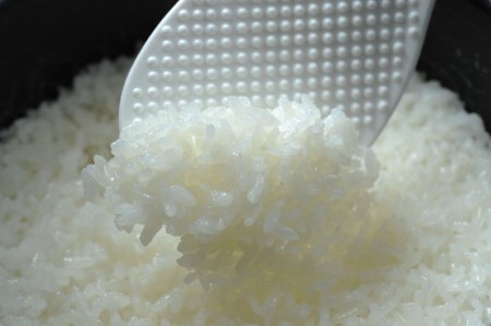 【令和7年産米】四万十育ちの美味しいお米。高知のにこまる6kg、にこまる（香り米入り）5kg 【計11kg】Bmu-C22 農家 こだわり ブランド米　5キロ　11キロ　低農薬