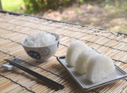 【令和7年産米】四万十育ちの美味しいお米。高知のにこまる6kg、にこまる（香り米入り）5kg 【計11kg】Bmu-C22 農家 こだわり ブランド米　5キロ　11キロ　低農薬