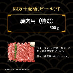 四万十麦酒牛 厚切り特選焼き肉セット（500g） モモ ウデ バラ肉 肩ロース 詰め合わせ 霜降り 赤身 麦酒牛 ビール牛 冷凍 ／Asz-07