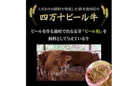 国産牛肉・豚肉の合挽肉 1kg（500g×2） 国産 牛肉 豚肉 ミンチ 合挽肉 小分け 冷凍 四万十ポーク ハンバーグ 人気 ／Asz-A14