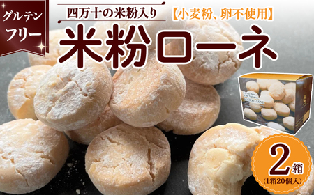 愛知県産ミルキークイーン 20㎏（白米18㎏） 米粉 500g×2 - 米