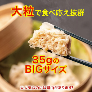 ブランド豚を使った本格飲茶！豚まん・肉しゅうまいセット(特大) Qak-A29 肉しゅうまい 豚まん 冷凍 国産