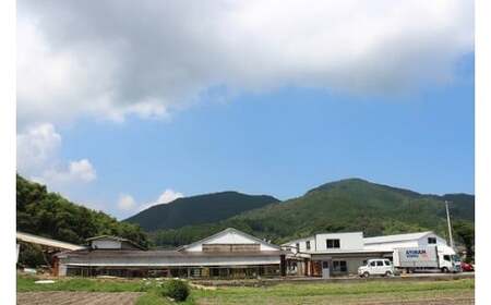 卵が苦手な子どもも食べられた！生臭くないおいしい卵を味わう卵かけご飯ミニセット(卵6個×2P、お米2合×1P、醤油×1本、塩×1P)【お届け日指定可能】／Gbn-B20