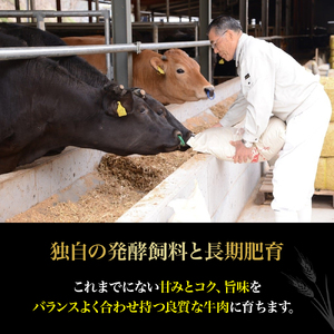 四万十麦酒（ビール）牛 焼肉用カルビ バラ肉（400g） Asz-41 麦酒牛 国産 バラ肉 カルビ