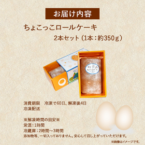 たまご農場直営スイーツ!甘さとほろ苦さがくせになる「ちょこっこロール」(2本セット・冷凍)【着日指定可能】/Gbn-39