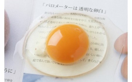 卵が苦手な子どもも食べられた！生臭くないおいしい卵を味わう卵かけご飯セット(卵6個×3P、お米2合×9P)【お届け日指定可能】／Gbn-A16