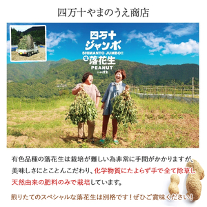 新豆 四万十のブラック&しましま& レッド落花生 激レア3色食べ比べセット 煎りたてオーダー焙煎直送 /Fsy-A05