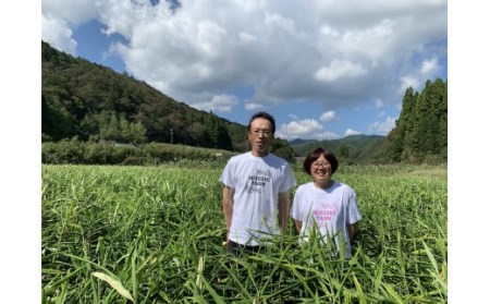 四万十の台地で育った辛口ジンジャーシロップ6本／Fmf-02