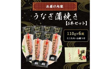 うなぎ蒲焼き（160g×2本セット） うなぎ うなぎ蒲焼 高知うなぎ 国産うなぎ うな重 鰻 国産鰻 高知鰻 冷凍鰻 鰻蒲焼 四万十うなぎ 土用の丑の日 ／Esu-124