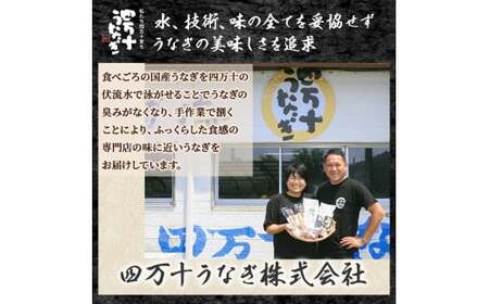 うなぎ蒲焼き（160g×2本セット） うなぎ うなぎ蒲焼 高知うなぎ 国産うなぎ うな重 鰻 国産鰻 高知鰻 冷凍鰻 鰻蒲焼 四万十うなぎ 土用の丑の日 ／Esu-124