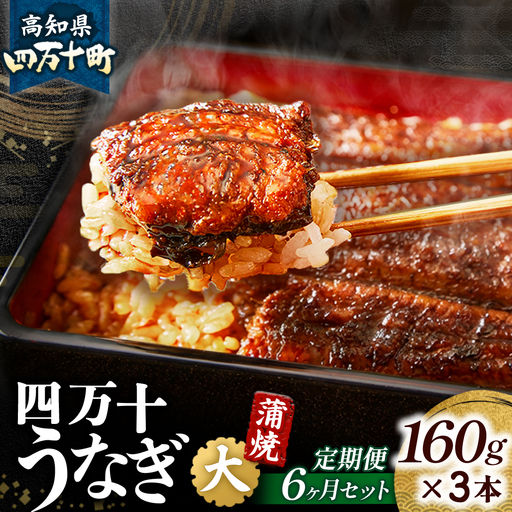 〈鰻大好き定期便〉四万十うなぎ蒲焼き≪大≫（160g x 3本）6カ月セット／ うなぎ うなぎ蒲焼 高知うなぎ 国産うなぎ うな重 鰻 国産鰻 高知鰻 冷凍鰻 鰻蒲焼 四万十うなぎ 土用の丑の日 うなぎ うなぎ うなぎ うなぎ うなぎ 鰻
