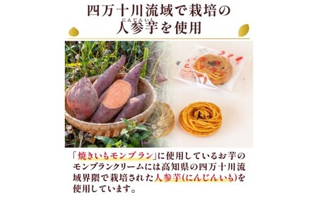 サブレ生地にしっとり栗・芋のクリームがたまらない「栗と芋の焼きモンブラン アソート(12個入) 」 モンブラン 焼き菓子 高知 四万十/Qdr-196