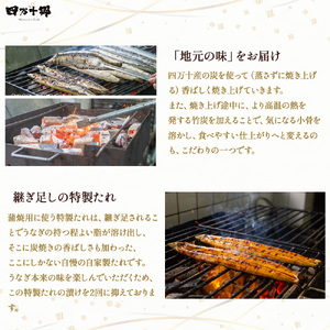 四万十地焼き蒲焼鰻（2尾セット） うなぎ うなぎ蒲焼 高知うなぎ 国産うなぎ うな重 鰻 国産鰻 高知鰻 冷凍鰻 鰻蒲焼 四万十うなぎ 土用の丑の日 ／Esg-19