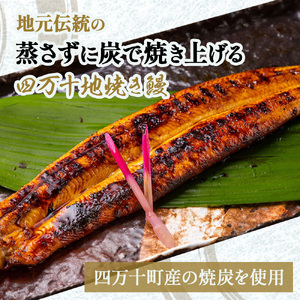 四万十地焼き鰻 蒲焼&白焼セット(2尾) 高知うなぎ 国産 冷凍 四万十 土用の丑の日 /Esg-20