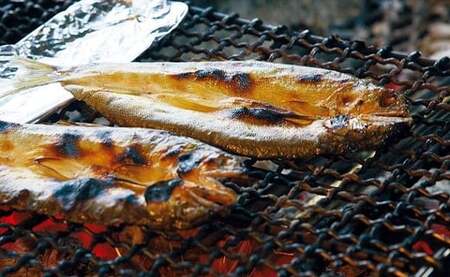 四万十川天然鮎【極上鮎うるか】×ミステリアスリザーブ／Esg-23 鮎 鮎 鮎 鮎 鮎