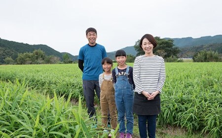 野菜が元気に育つ肥料セット ／Fis-A03 趣味 ガーデニング 家庭菜園 園芸 ベランダ菜園 プランター 種 種子 プロ仕様の肥料 培養土 畑 土造り 土壌改良 土づくり 土壌改良剤