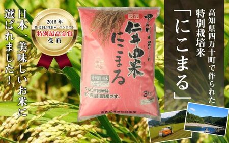 ◎令和6年産新米◎四万十育ちの美味しい「仁井田米」にこまる6kg（3kg×2袋） Bmu-A25 にこまる 新米 米 おこめ 精米 特別栽培米 受賞 おいしい おすすめ 人気 低農薬／Bmu-A25