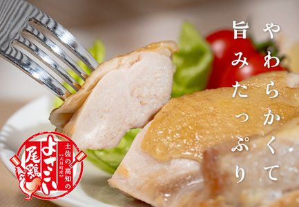 【定期便12回】よさこい尾鶏×力豚