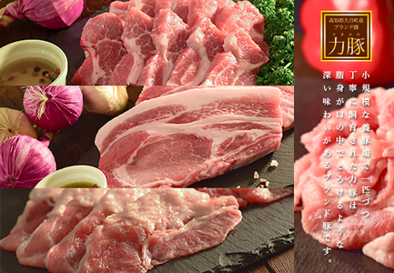 【定期便12回】よさこい尾鶏×力豚