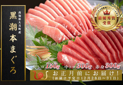 お正月 贅沢 本マグロ お刺身 3種セット 750g  国産 養殖 黒潮本まぐろ