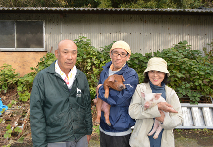 【定期便】高知県大月町産 力豚細切れ 月2回 6パック × 3カ月