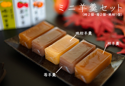 【大月の銘菓】ミニ羊羹セット(5本入)