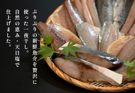 一夜干しセット 12枚〜15枚 天日塩 無添加 干物 詰め合わせ 冷凍便  海鮮セット 焼くだけ簡単