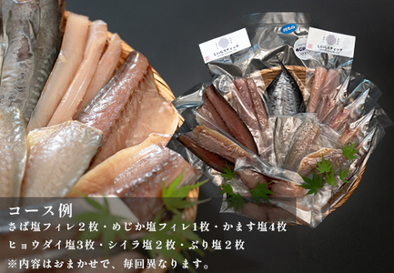 一夜干しセット 12枚〜15枚 天日塩 無添加 干物 詰め合わせ 冷凍便  海鮮セット 焼くだけ簡単