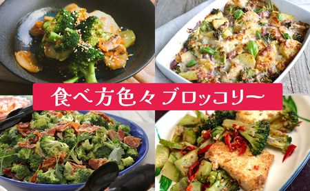 高知県産 ブロッコリー 5個 1.5kg前後 朝どれ 新鮮 国産