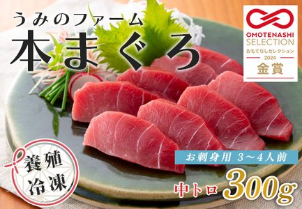 マグロ まぐろ 本マグロ 刺身 中トロ 300g うみのファーム 養殖 本まぐろ さしみ 刺し身 ネギトロ ねぎとろ 漬け丼 海鮮丼 まぐろたたき 海鮮セット 柵 年末 年始 正月 高知県 大月町