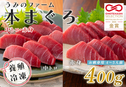 マグロ まぐろ 本マグロ 刺身 赤身 中トロ 400gうみのファーム 養殖 本まぐろ さしみ 刺し身 ネギトロ ねぎとろ 漬け丼 海鮮丼 まぐろたたき 海鮮セット 柵 年末 年始 正月 高知県 大月町