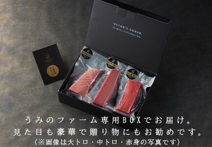 【12/23までの寄附で年内発送】 マグロ まぐろ 本マグロ 刺身 中トロ 600g うみのファーム 養殖 本まぐろ さしみ 刺し身 ネギトロ ねぎとろ 漬け丼 海鮮丼 まぐろたたき 海鮮セット 柵 年末 年始 正月 高知県 大月町