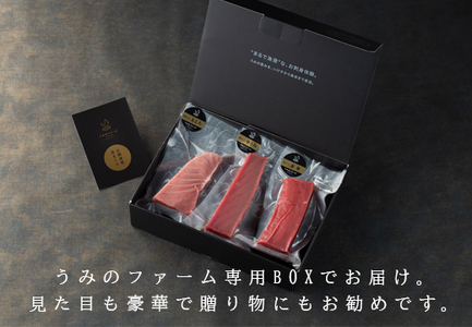 【12/23までの寄附で年内発送】 マグロ まぐろ 本マグロ 刺身 赤身 中トロ 大トロ 600g うみのファーム 養殖 本まぐろ さしみ 刺し身 ネギトロ ねぎとろ 漬け丼 海鮮丼 まぐろたたき 海鮮セット 柵 年末 年始 正月 高知県 大月町