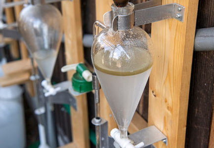 河内晩柑のエッセンシャルオイル 「和悠香」5ml 和精油